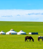 	 草原上马匹与蒙古包场景849#横屏 