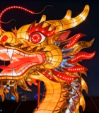 夜晚龙形花灯特写素材811#横屏 