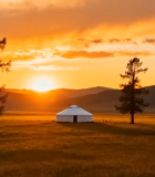 草原夕阳下的蒙古包与树木314#横屏 