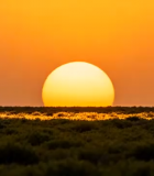 草原上的落日景象13033#横屏 