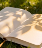 草地上翻开的书籍(2)8665#横屏 