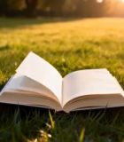 草地上翻开的书籍(4)11334#横屏 