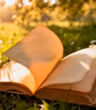 草地上翻开的书籍(1)6436#横屏 