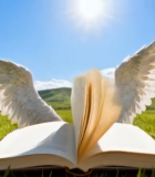 草地上带翅膀的翻开书籍1255#横屏 