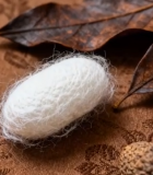 蚕茧与干果静物素材3925#横屏 