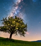 	 草地孤树夜空银河素材10668#横屏 