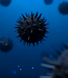 病毒渲染画面10556#横屏 