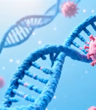 病毒与分子素材8020#横屏 