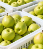 果和梨子11201#横屏 