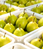 白色框中堆放的新鲜梨子4230#横屏 