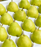 白色托盘中的新鲜梨子14206#横屏 