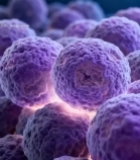  紫色细胞微观展示489#竖屏 	 