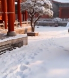  中式古建筑雪景全景(2)7526#竖屏 	 