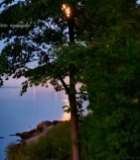  月夜下湖边树林自然风光7809#竖屏 	 