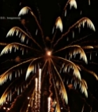  夜空中绽放的金色烟花(4)6013#竖屏 	 