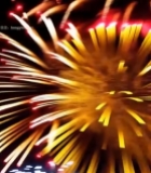  夜空中绽放的金色烟花(1)3295#竖屏 	 