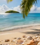  阳光海滩棕榈树海景3082#竖屏 	 