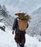  雪中背竹篓行走的老人680#竖屏 	 