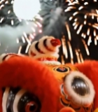  烟花下的舞狮特写1619#竖屏 	 