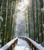  雪后竹林中的木质步道2957#竖屏 	 