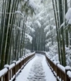  雪后竹林石板路风景1996#竖屏 	 