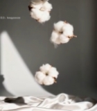  悬浮棉花特写与丝绸背景192#竖屏 	 