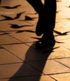  行人于夕阳下行走与鸟影相伴2867#竖屏 	 