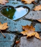  心形水洼与落叶地面景象6275#竖屏 	 