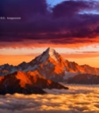  霞光下雪山云海壮美景色5277#竖屏 	 