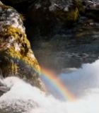  溪流间岩石上的彩虹景观6811#竖屏 	 