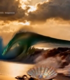  夕阳下海浪与贝壳海岸风景1905#竖屏 	 