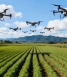  无人机群飞过农田上空5173#竖屏 	 