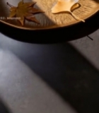  托盘上的银杏叶与枫叶2450#竖屏 	 