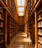  图书馆书架长廊与天窗景观6884#竖屏 	 