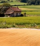  田间稻谷晾晒与农具画面7517#竖屏 	 