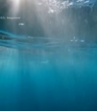  水下阳光照射海水画面5040#竖屏 	 