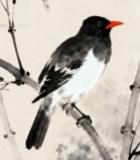  水墨风竹枝上的鸟2294#竖屏 	 