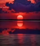  水面上的夕阳与云彩景观2907#竖屏 	 