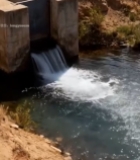  水坝水流倾泻实景222#竖屏 	 