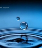 水滴落入水面特写(1)3734#竖屏 	 
