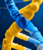  双螺旋结构展示2401#竖屏 	 