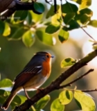  树枝上展翅的小鸟1203#竖屏 	 