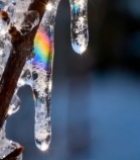  树枝冰凌特写素材3018#竖屏 	 