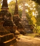  树林中的古老佛塔659#竖屏 	 