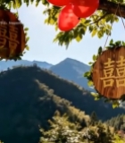  树上悬挂中式婚礼装饰4208#竖屏 	 