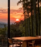  室内透过玻璃看日落竹林景色3880#竖屏 	 