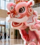  室内舞狮表演醒狮素材1827#竖屏 	 