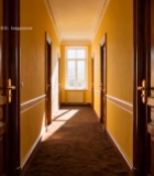  室内黄色走廊木质门场景2396#竖屏 	 