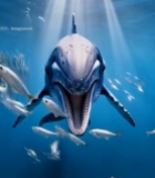  深海鲸鱼张嘴捕食群鱼画面7260#竖屏 	 