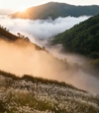  山间云海日出美景594#竖屏 	 